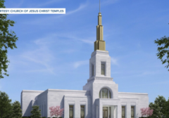 Screenshot 2026-03-15 141137